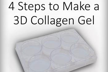 link to library blog - 4 Key Components for 3D Collagen Gels