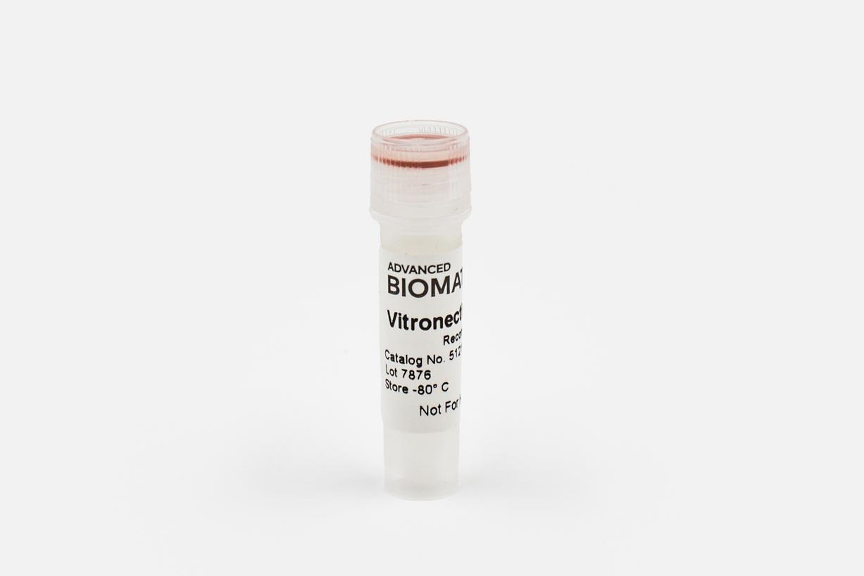 Recombinant Vitronectin, Solution, 0.5 mg/ml #5121