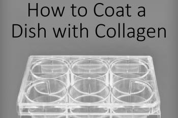 link to library blog - Coating Plates with Collagen