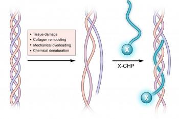 link to library blog - Collagen Hybridizing Peptides