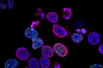 link to library blog - Immunofluorescence Staining Protocol