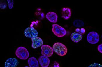 link to library blog - Immunofluorescence Staining Protocol