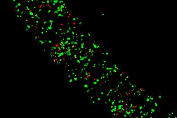 link to library blog - Stem Cell Culture and Adipogenic Differentiation