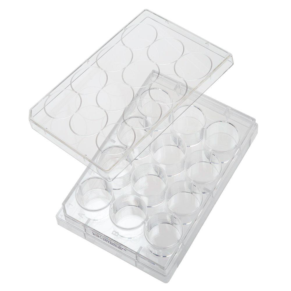collagen coated 12-well plate