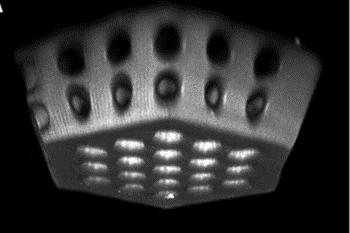 link to library blog - High Resolution 3D Printed ECM Scaffolds