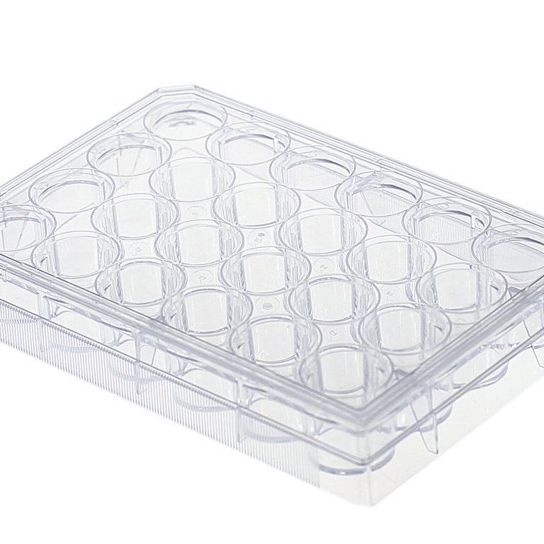 collagen coated 24-well plate