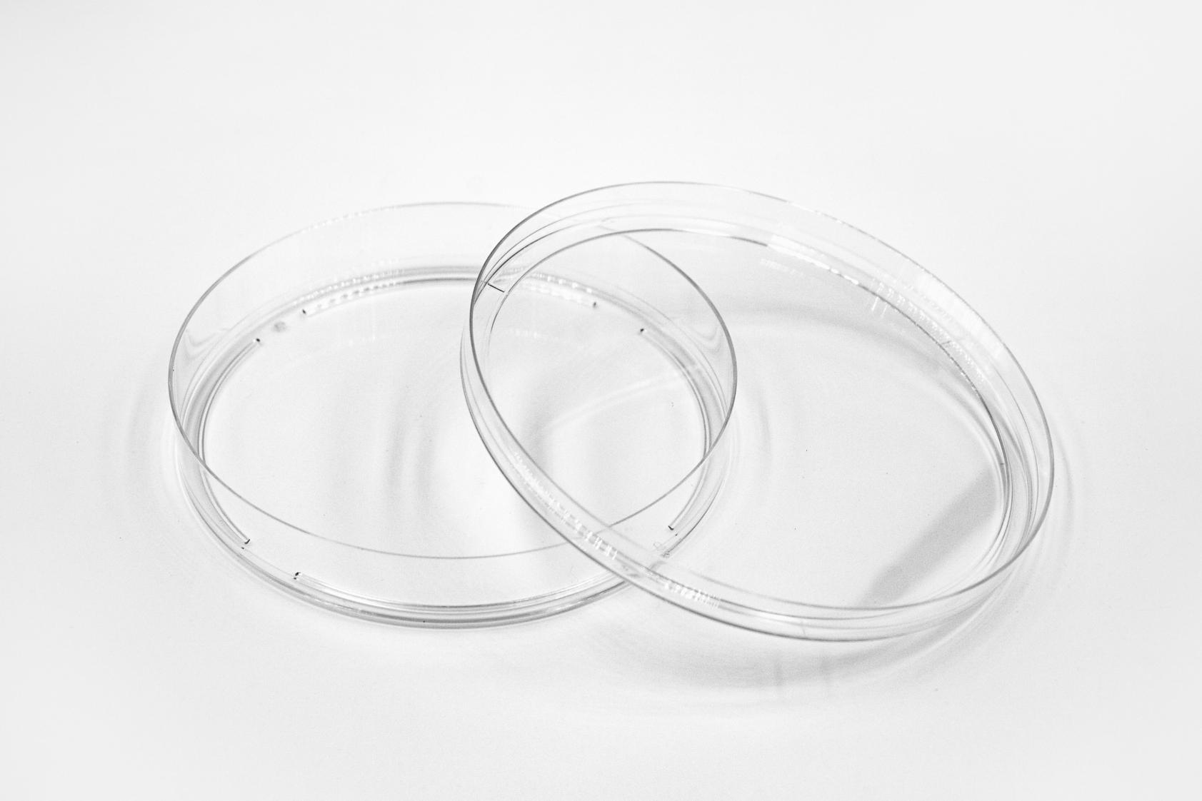 Collagen Coated 100 x 20 mm Dishes #5028