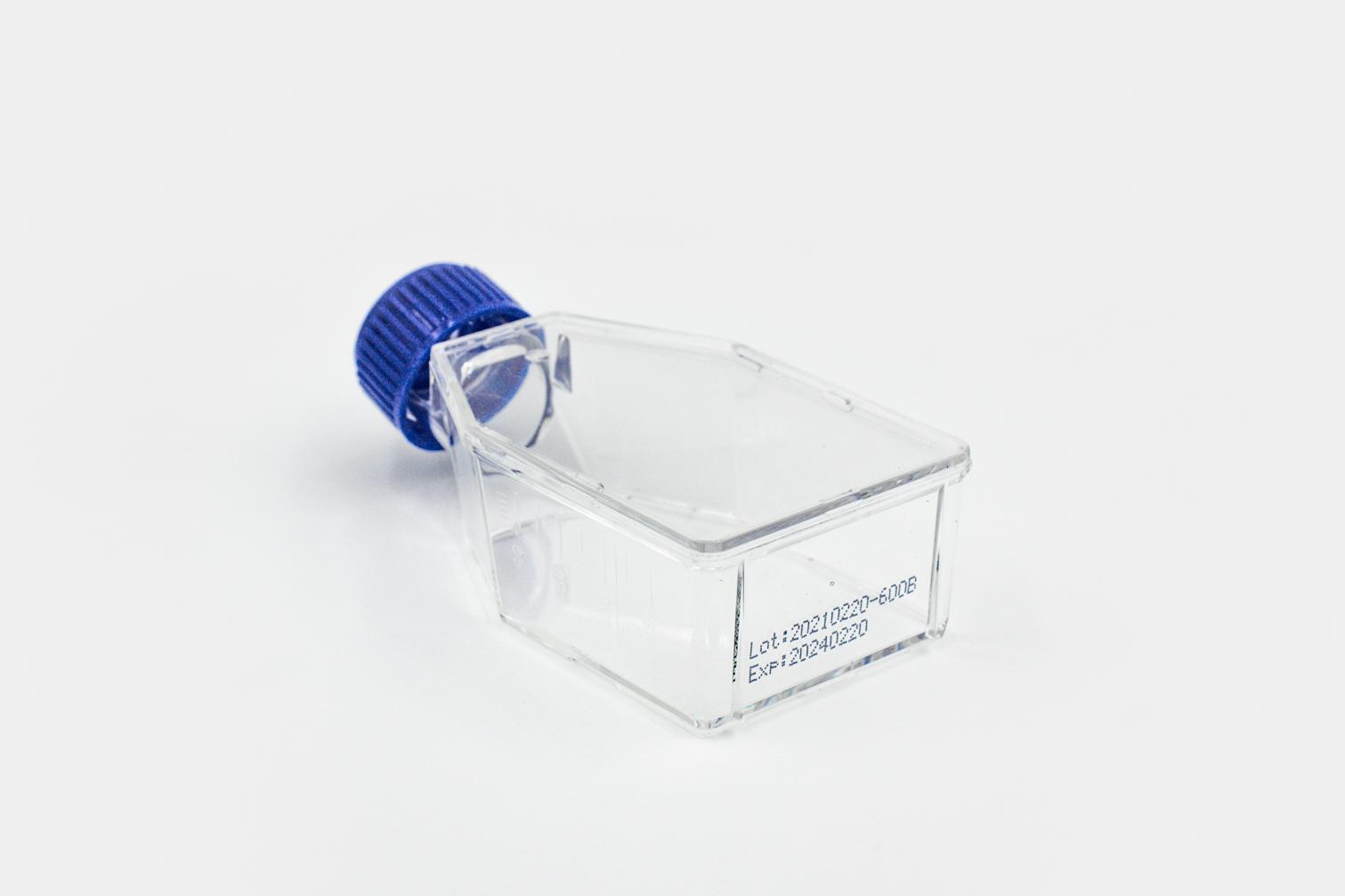 Collagen Coated T-25 Flasks #5029