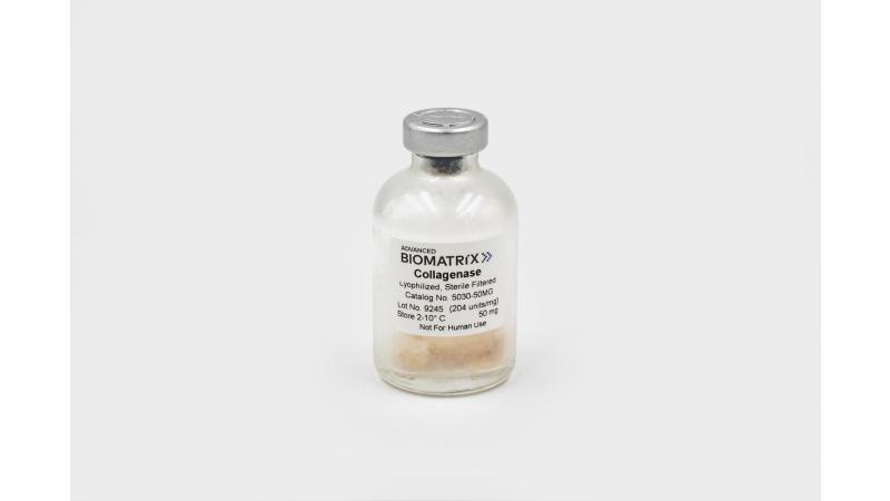 薬物治療学 VISUAL CORE PHARMA Advanced BioMatrix - Collagenase #5030
