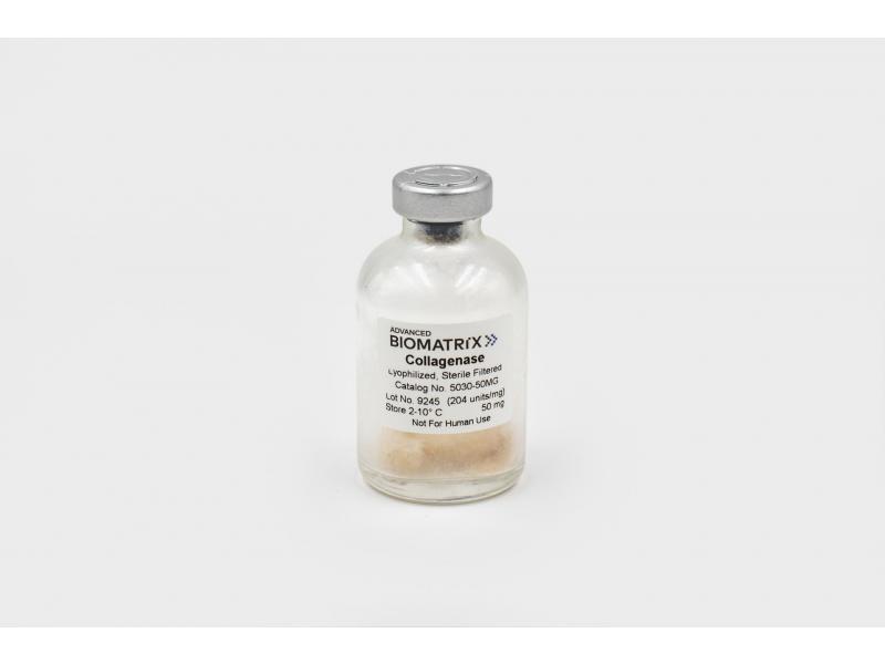 バイオテック BIO with ONE バイオウィズワン ベータS 300ml x