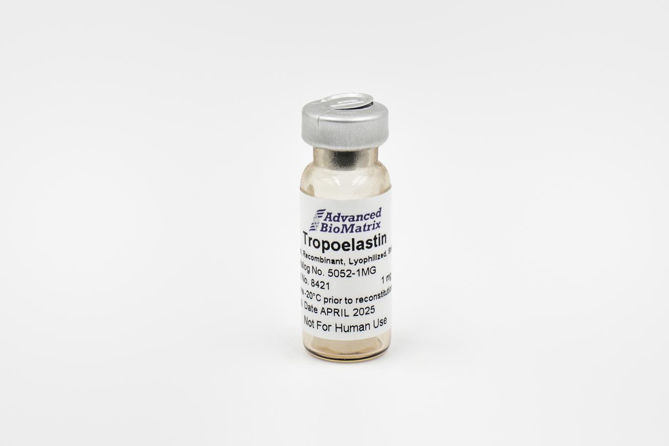 Recombinant Tropoelastin, Lyophilized #5052