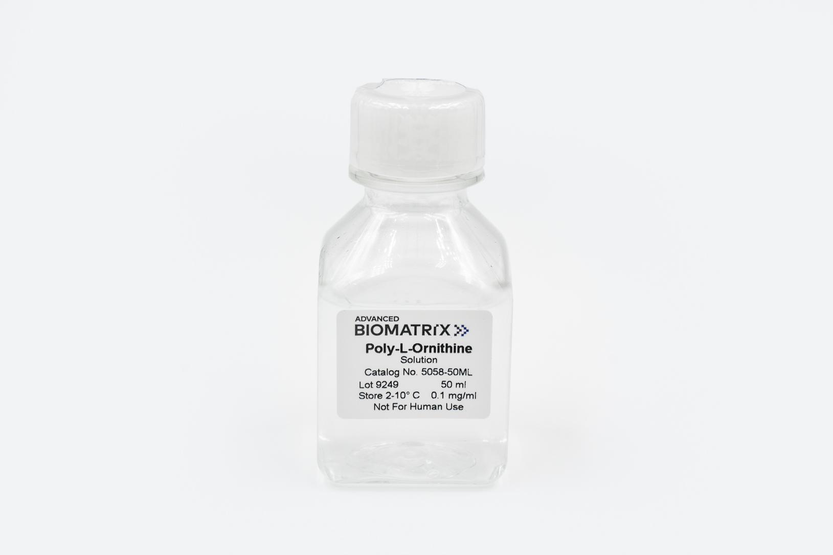 Poly-L-Ornithine, Solution, 0.1 mg/ml #5058
