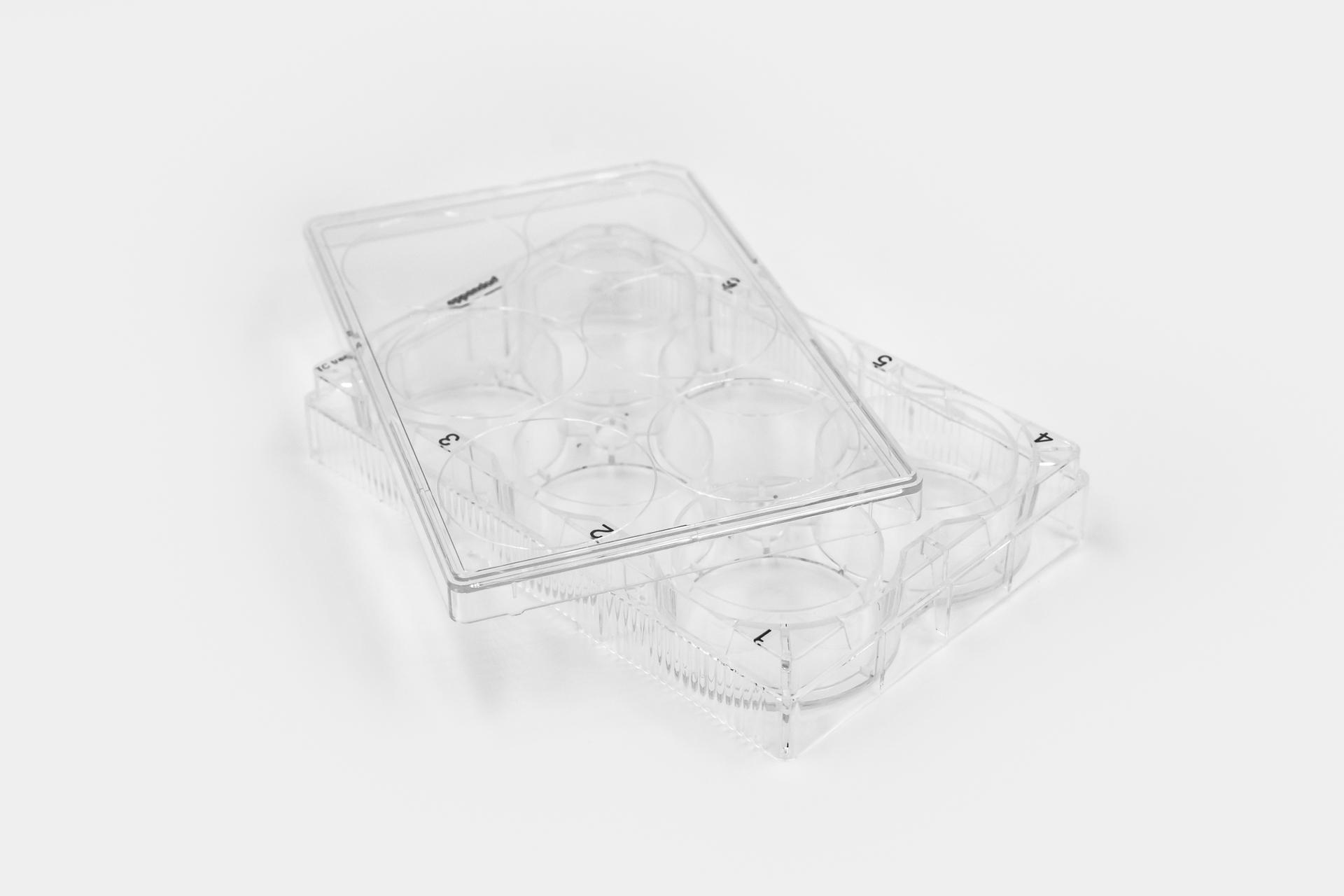 Collagen Coated 6-well Plates #5073