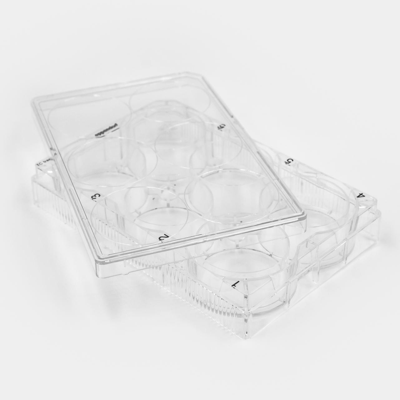PureCol Collagen Coated Plates