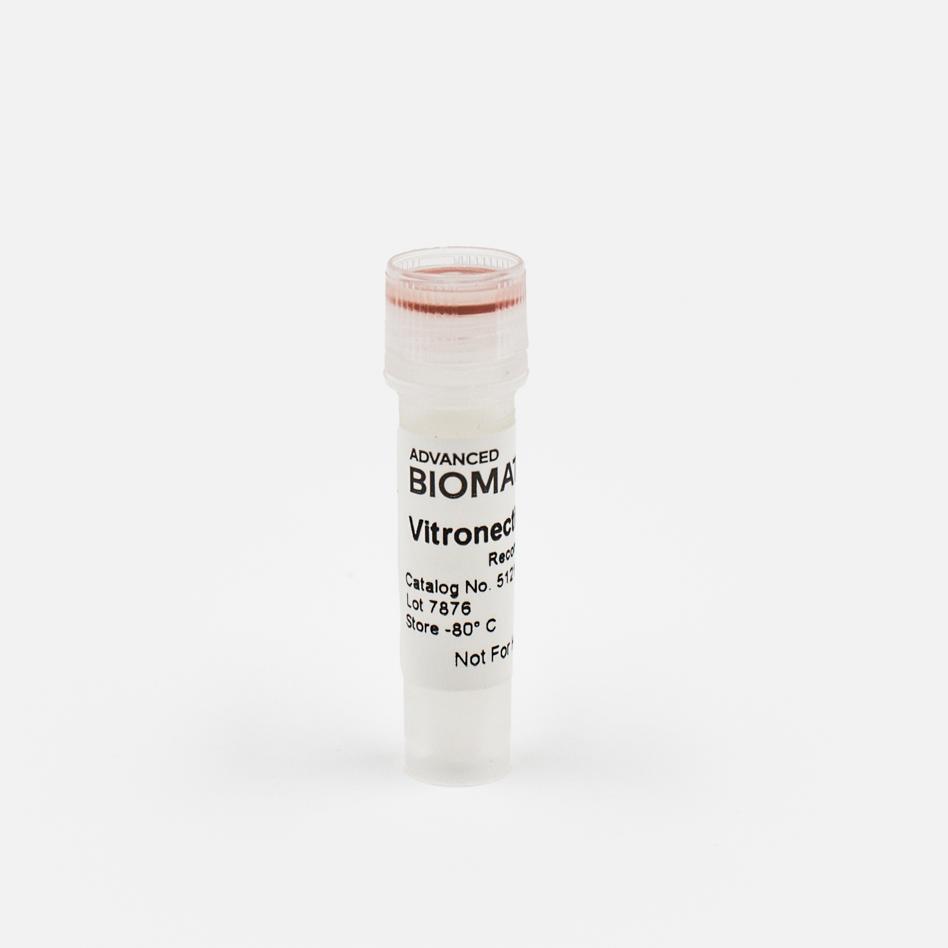 recombinant Vitronectin solution from advanced biomatrix