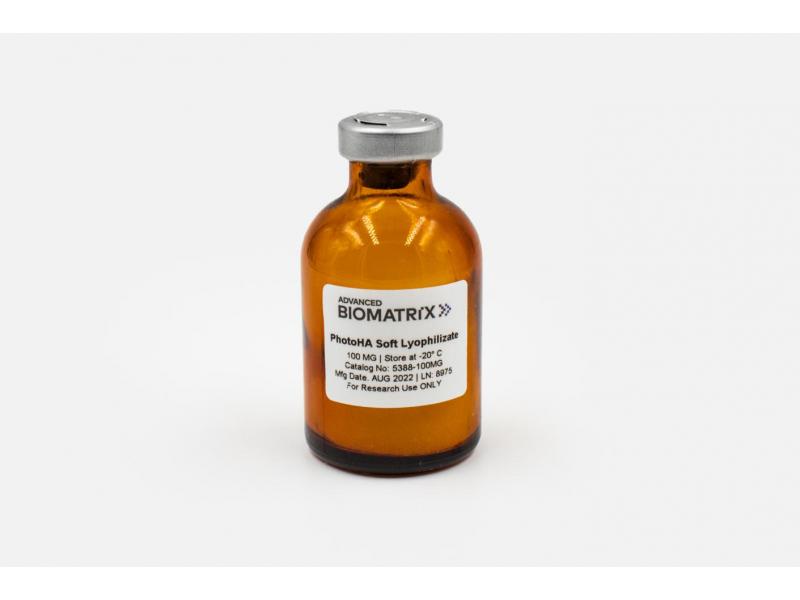 薬物治療学 : VISUAL CORE PHARMA Amazon.com: Klaire Labs SFI Health Active B Complex