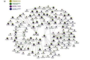link to library blog - Comparison of Alzheimer's Variants