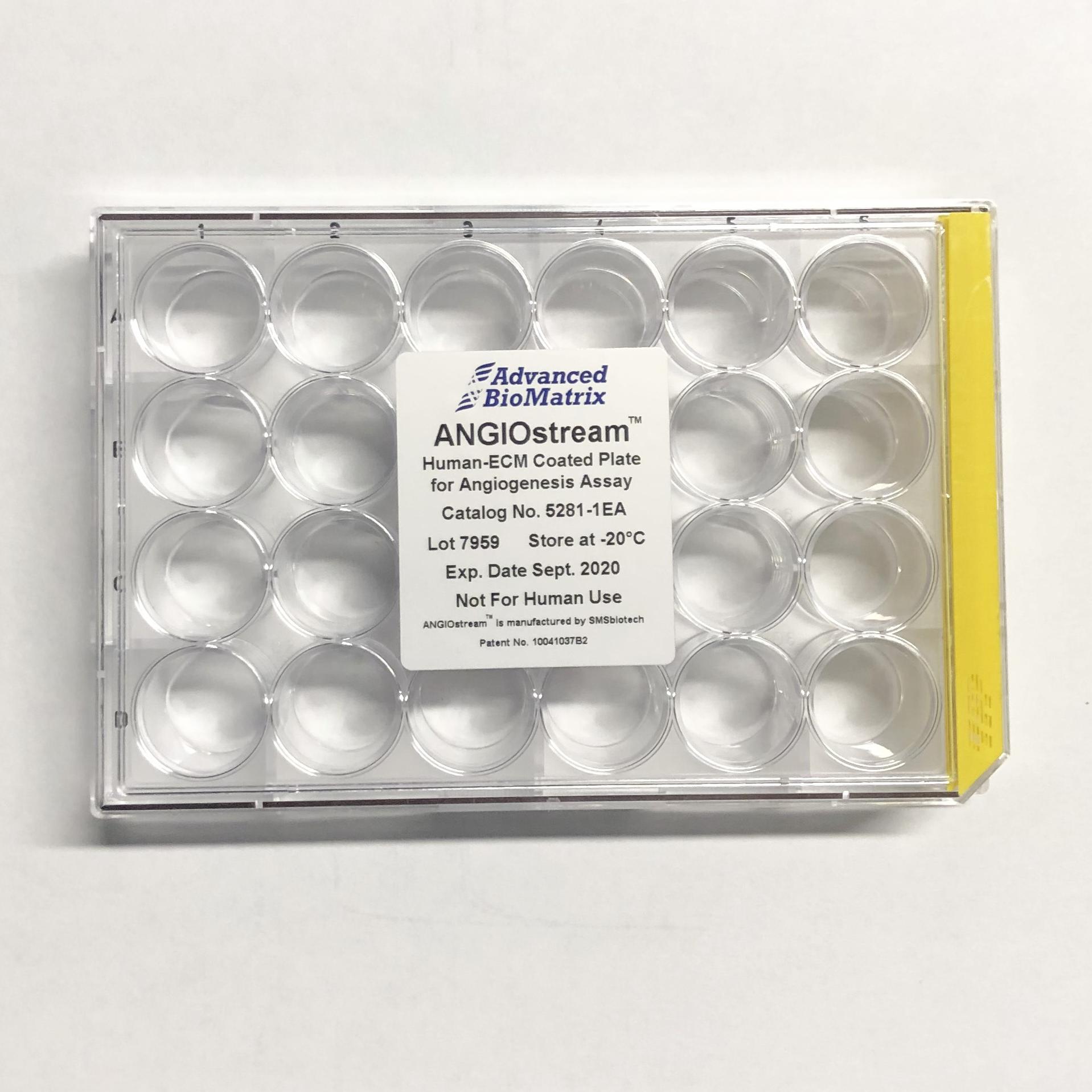 Angiostream angiogenesis kit