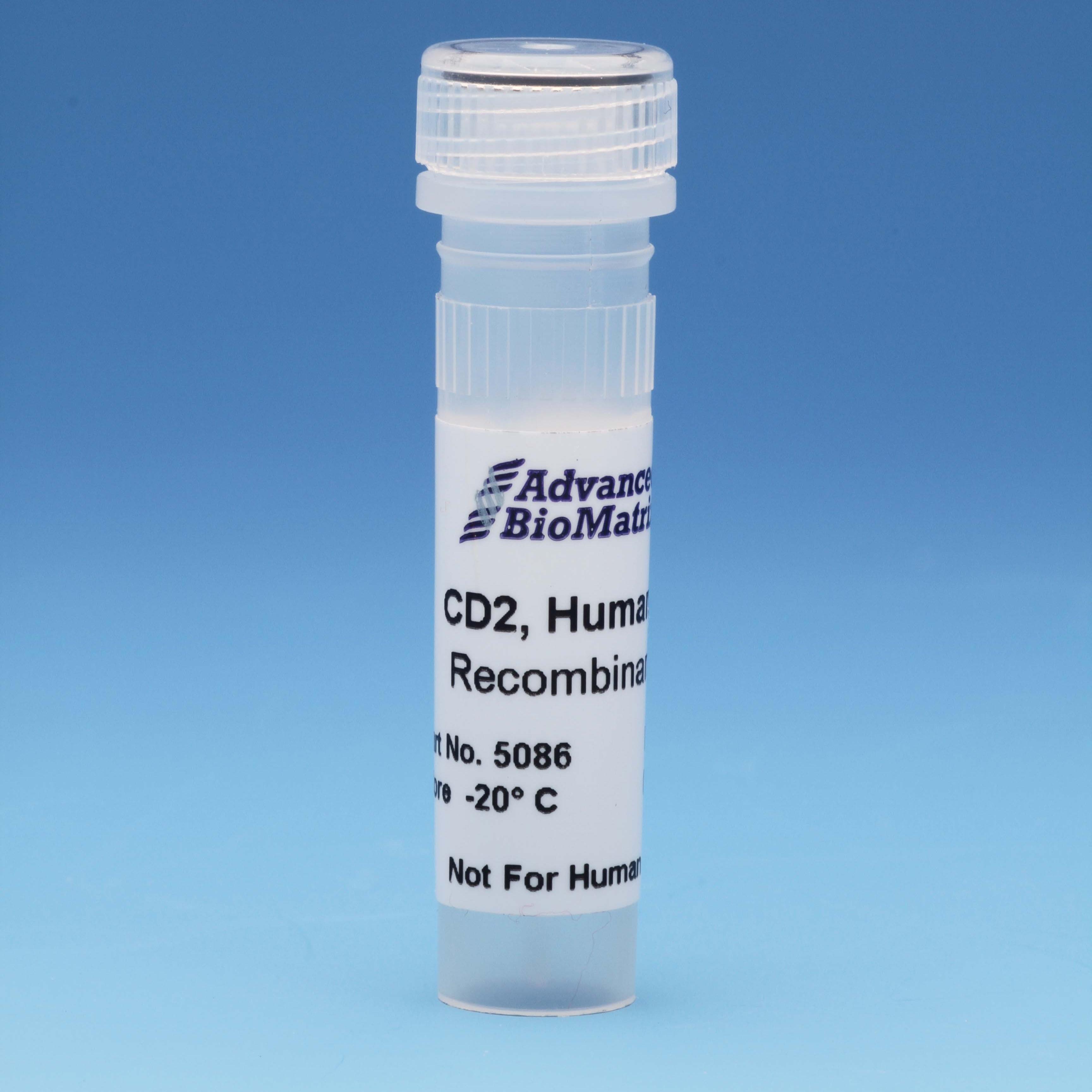 CD2 recombinant adhesion protein from advanced biomatrix