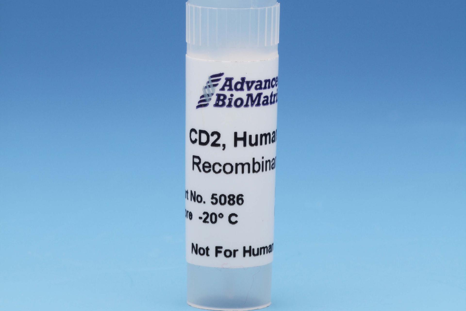 CD2, 0.5 mg/ml #5086