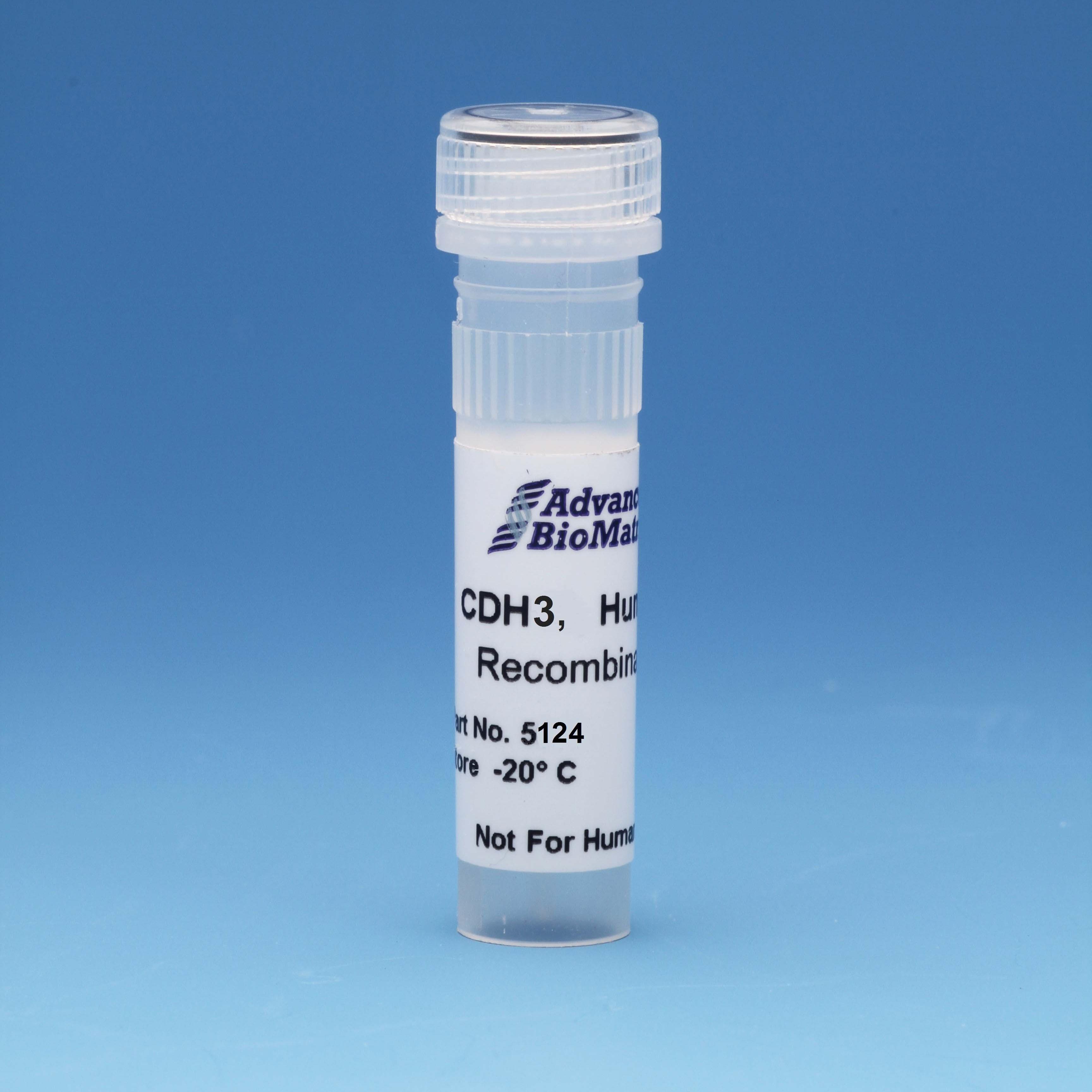 CDH3 recombinant adhesion protein from advanced biomatrix