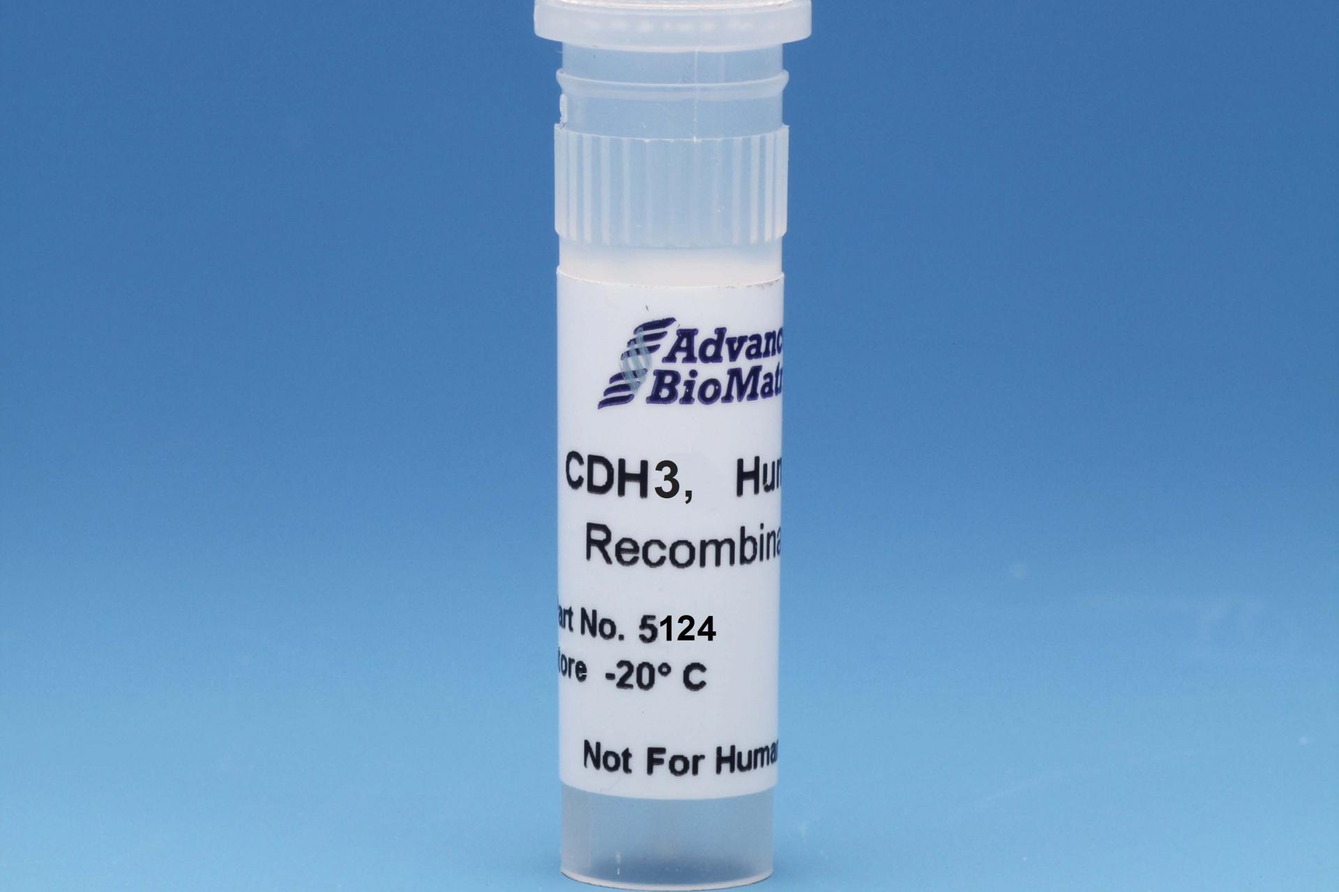 CDH3, 0.5 mg/ml #5124