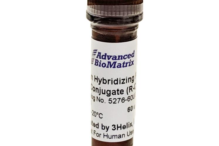 CY3 Conjugate #5276