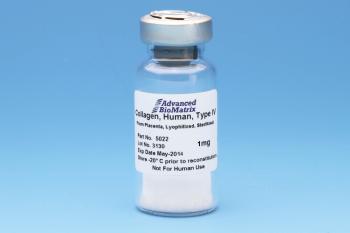 link to library blog - Type IV Collagen