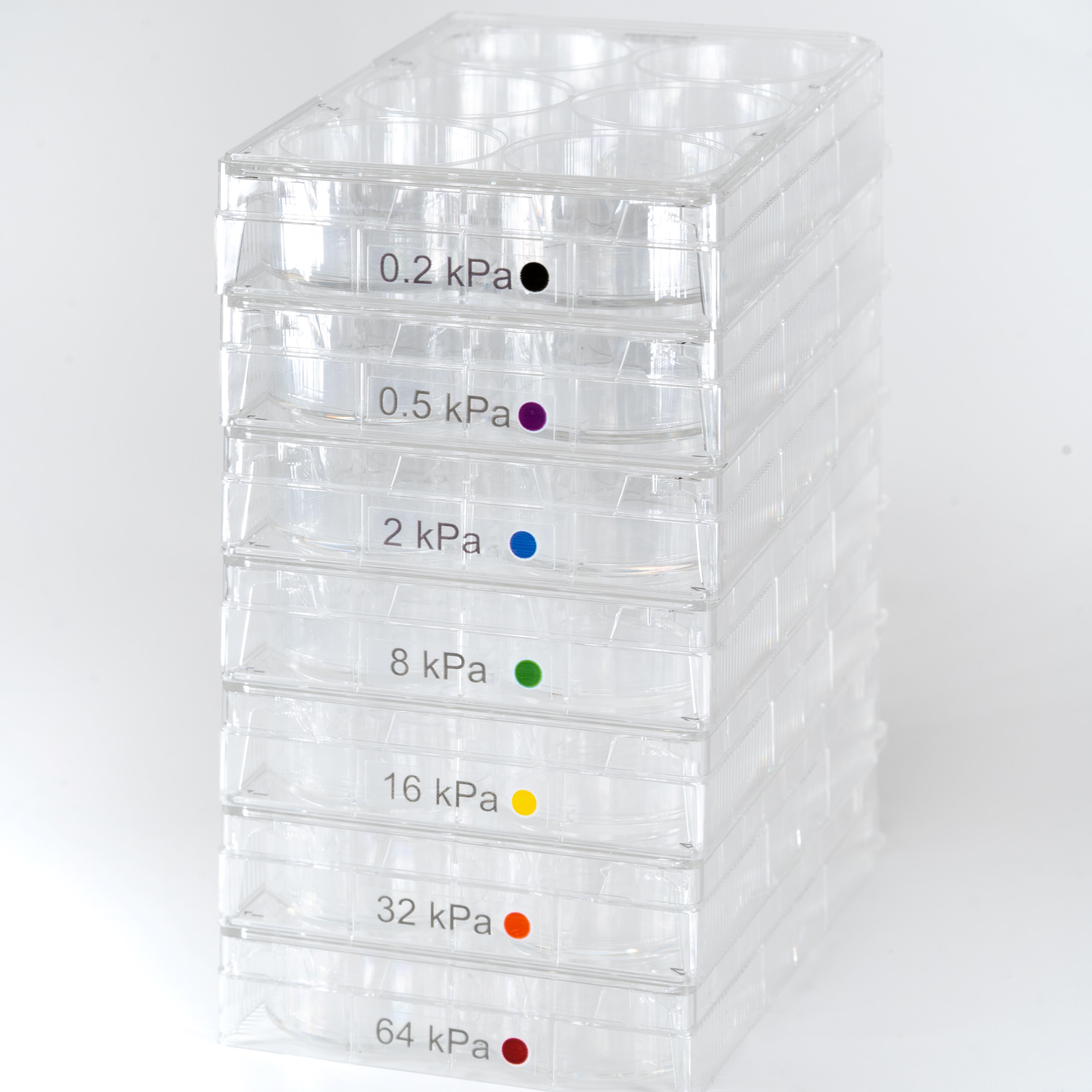 CytoSoft discovery kit PDMS soft substrate surfaces