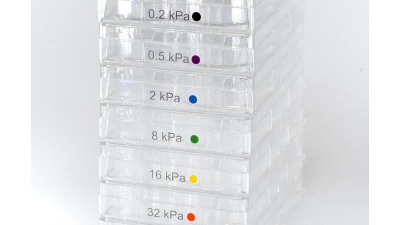 Advanced BioMatrix - CytoSoft™ Discovery Kit, 6-Well Plates