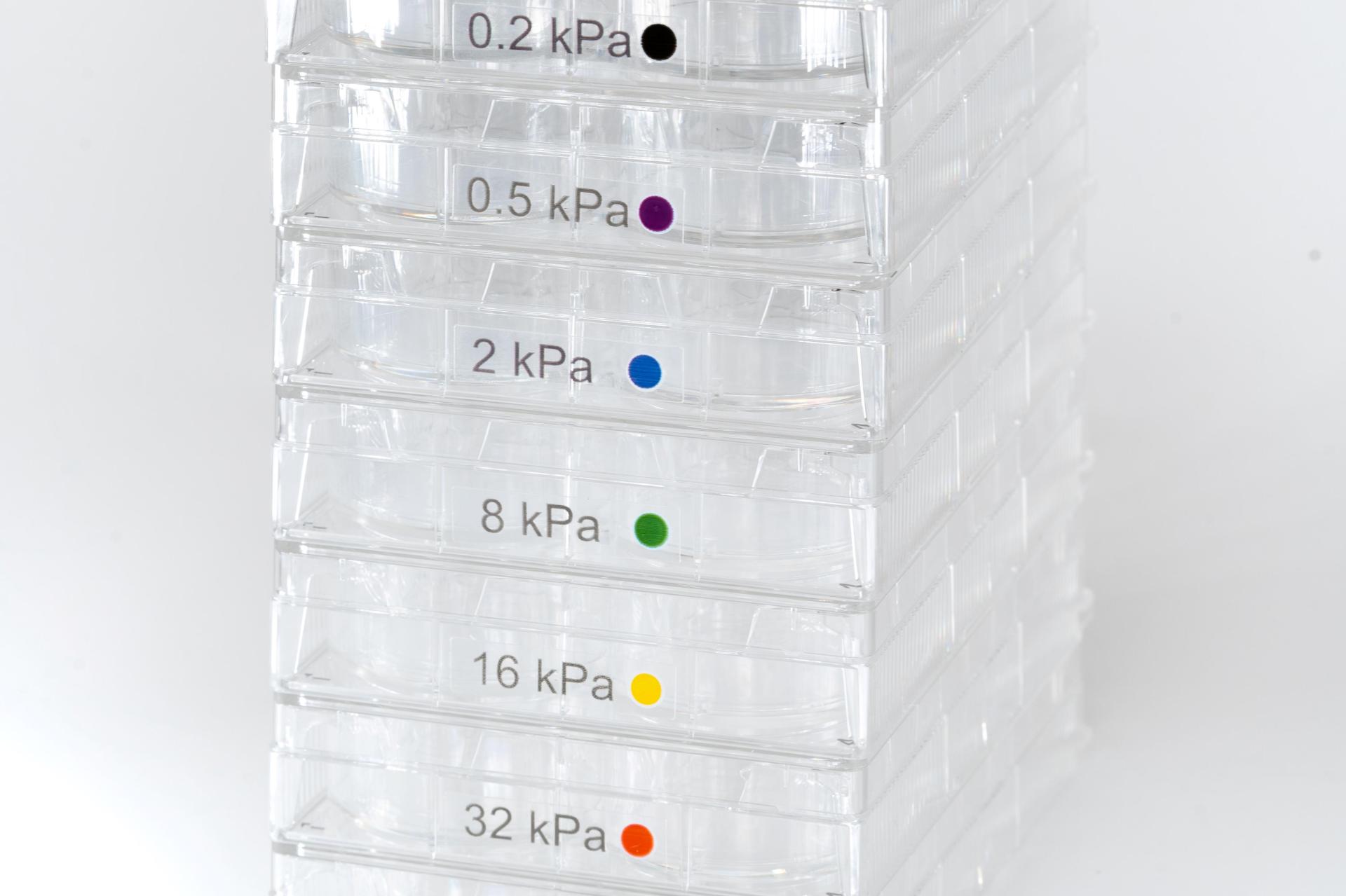CytoSoft™ 6-Well Plates (0.2 - 64 kPa)
