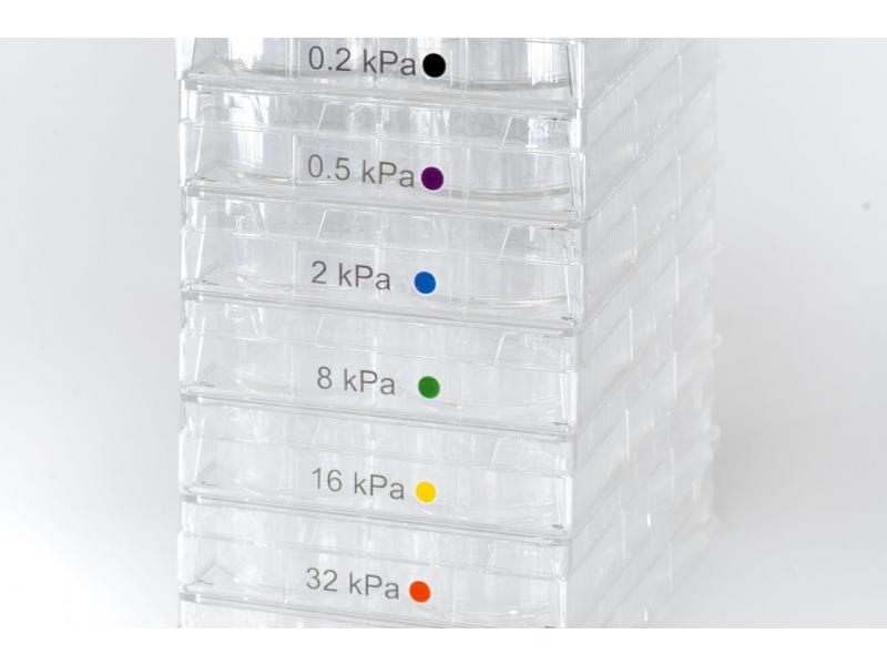 CELLDEA Body Designing System 20袋入り MEDLINE NON8000 Derma-Gel Semi-Occlusive Hydrogel Wound
