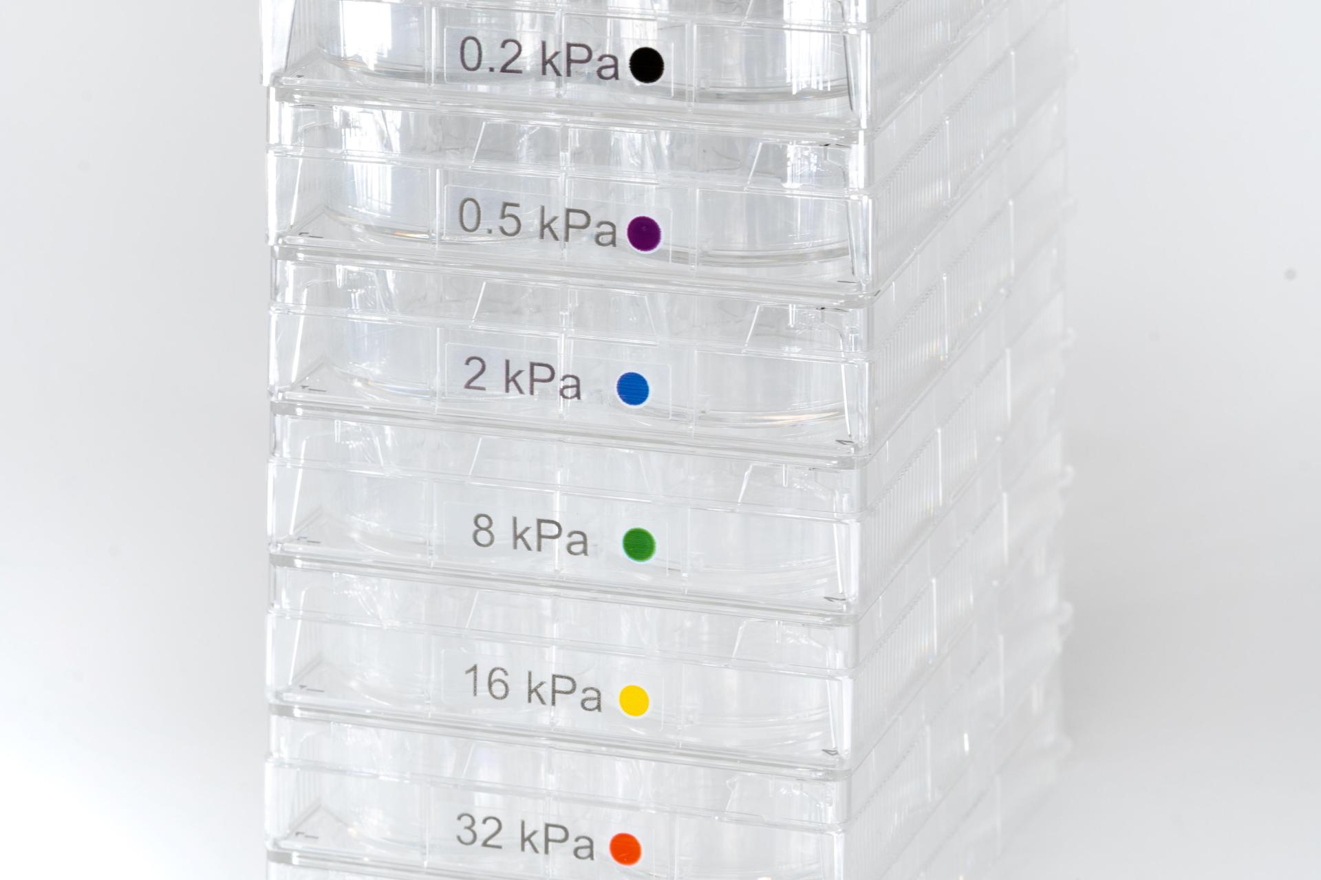 CytoSoft&trade; Discovery Kit, 6-Well Plates #5190
