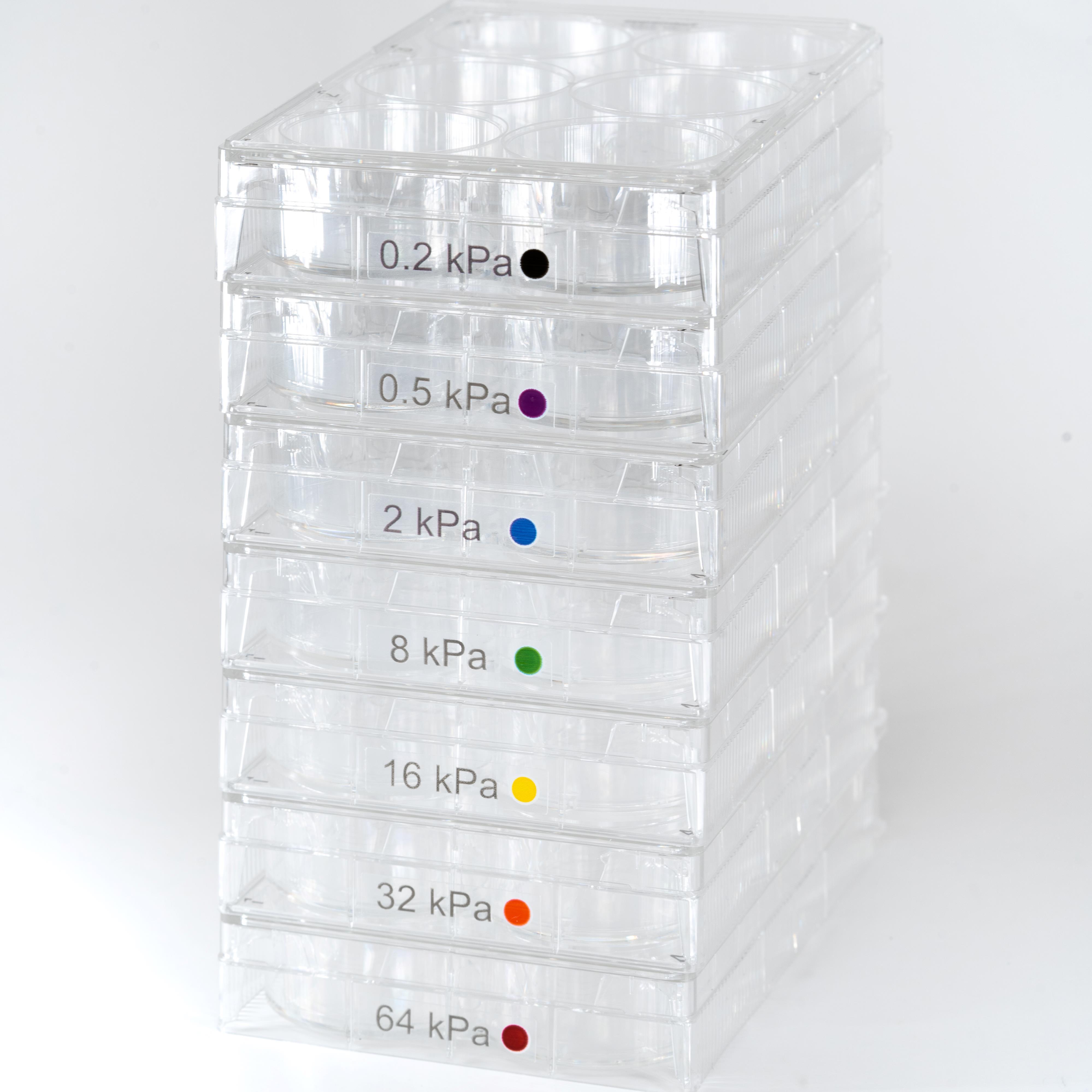 CytoSoft 6-well plates PDMS soft substrate surfaces