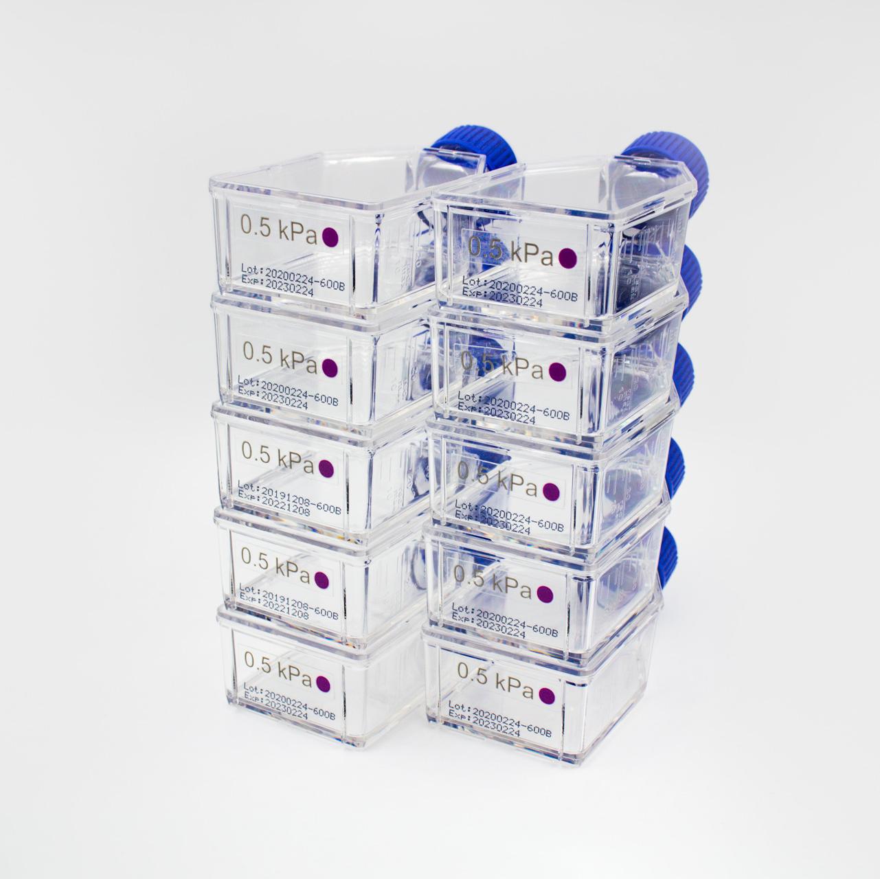 CytoSoft T-25 Flasks PDMS soft substrate surfaces