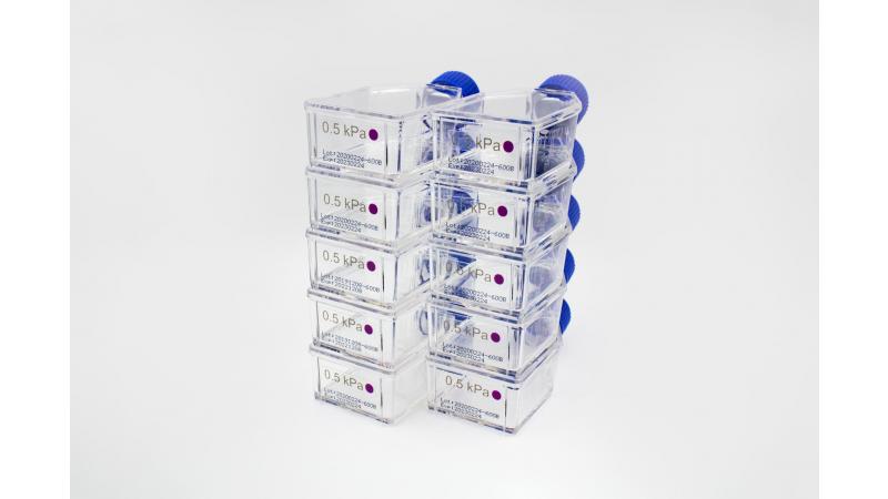 CytoSoft_T25_10EA.