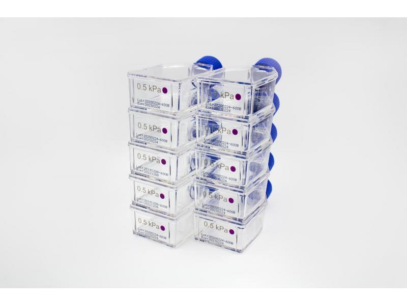 CytoSoft® T-25 Flasks (0.2 - 64 kPa) - Advanced BioMatrix