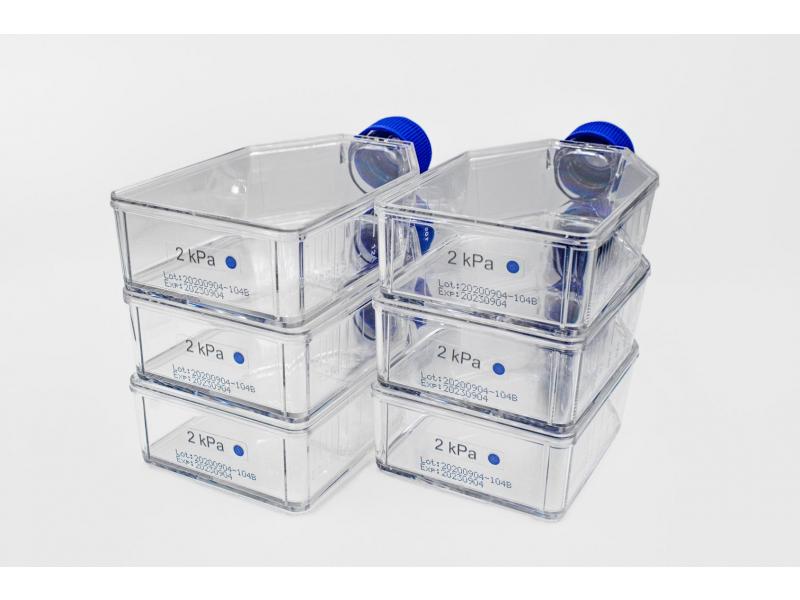Advanced BioMatrix - CytoSoft® T-75 Flasks (0.2 - 64 kPa)