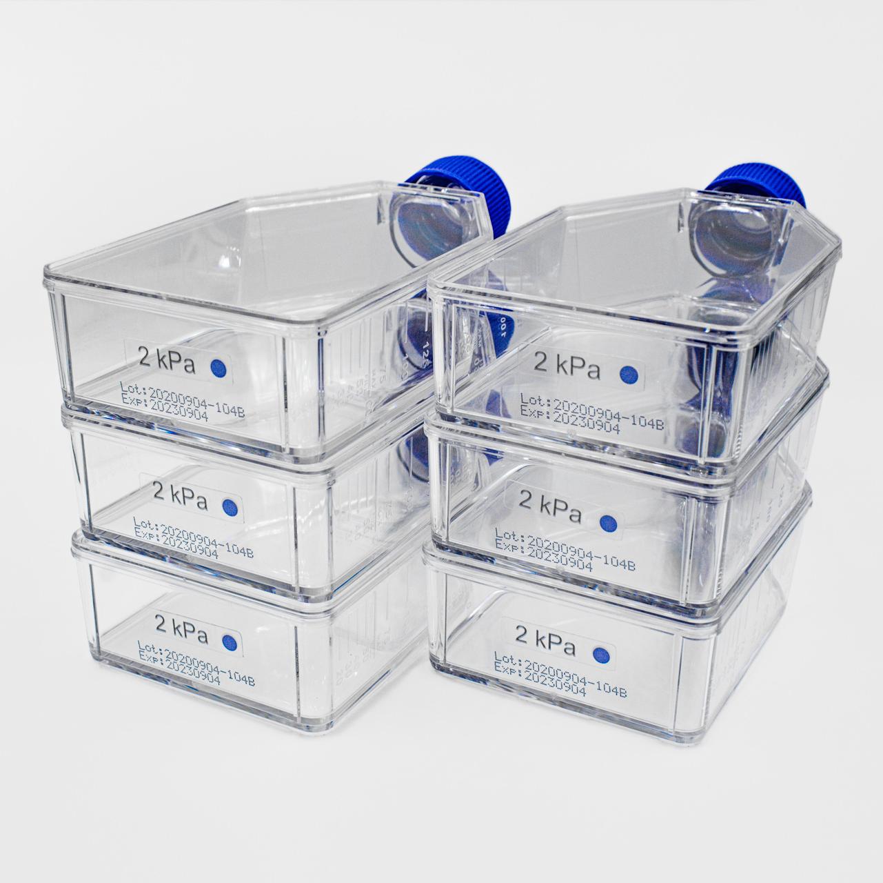 Cytosoft t-75 flask PDMS substrate of various rigidity