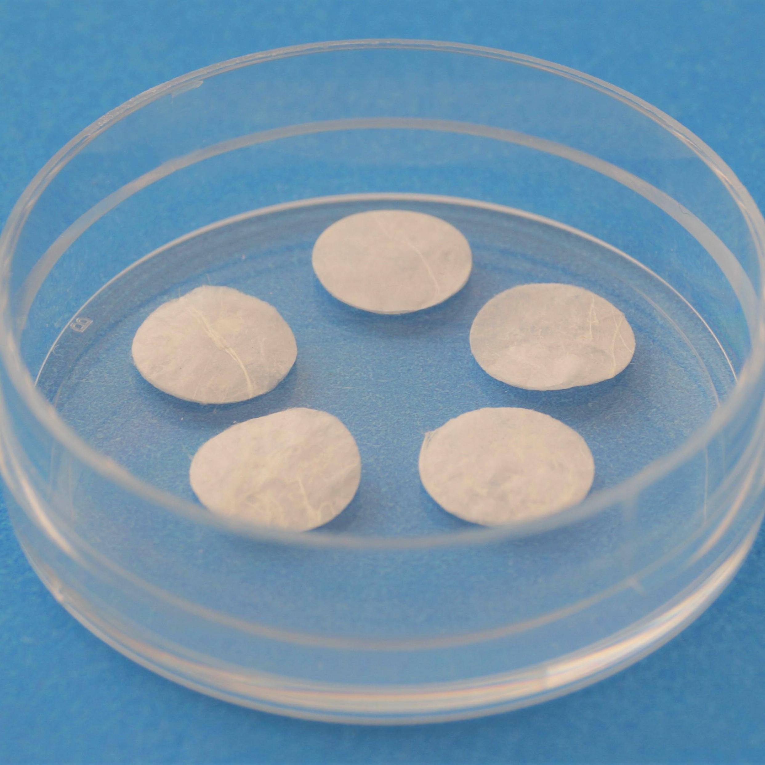 electrospun gelatin disks from advanced biomatrix