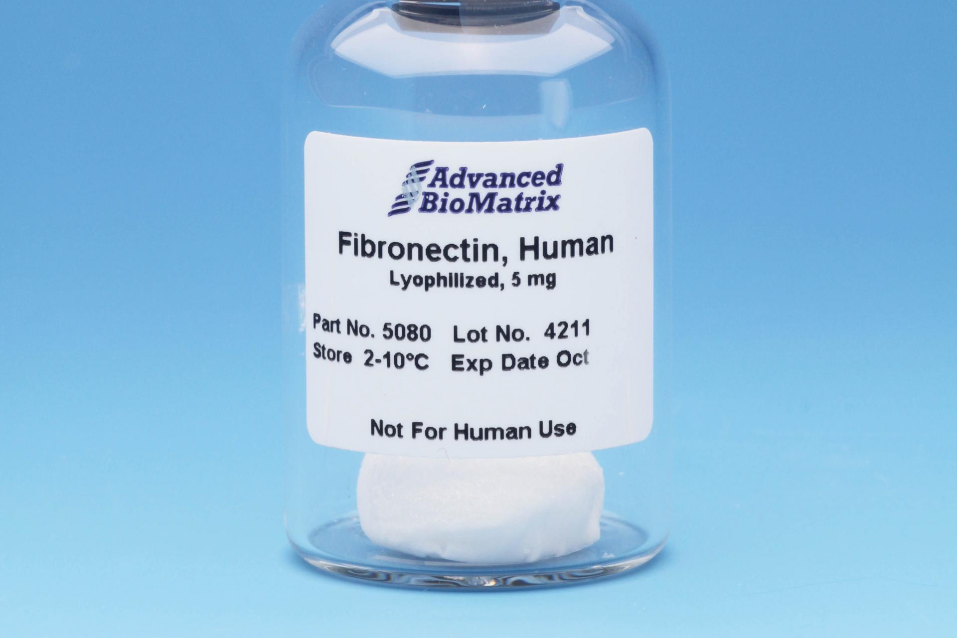 Fibronectin, Lyophilized (human) #5080