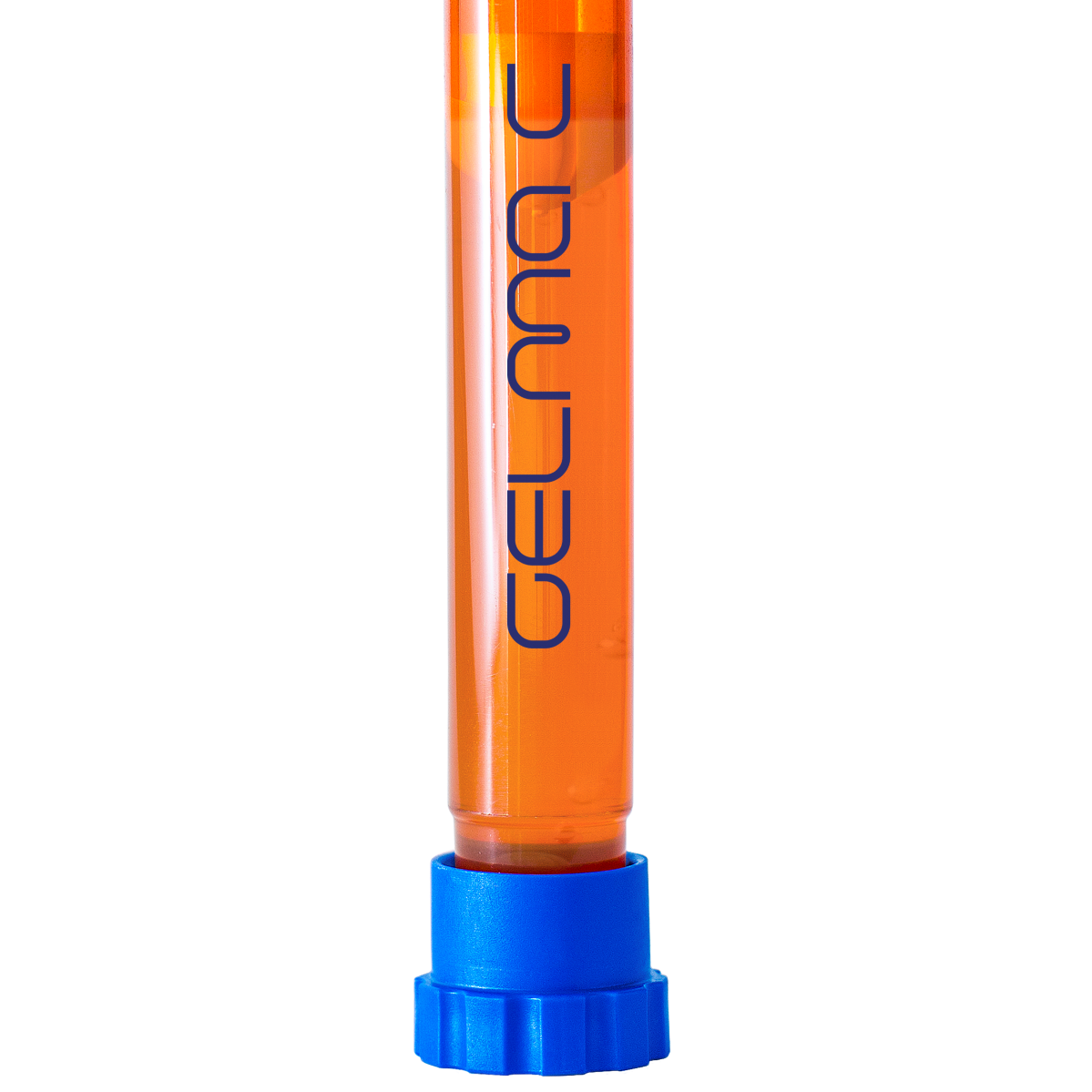 GelMA C 