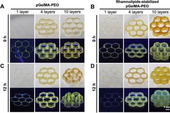 link to library blog - PhotoGel and Ruthenium Novel Bioink