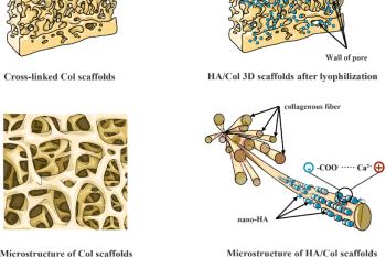 link to library blog - PureCol and Hydroxyapatite