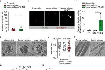 link to library blog - PureCol and Type III Hydrogels for HIV Study