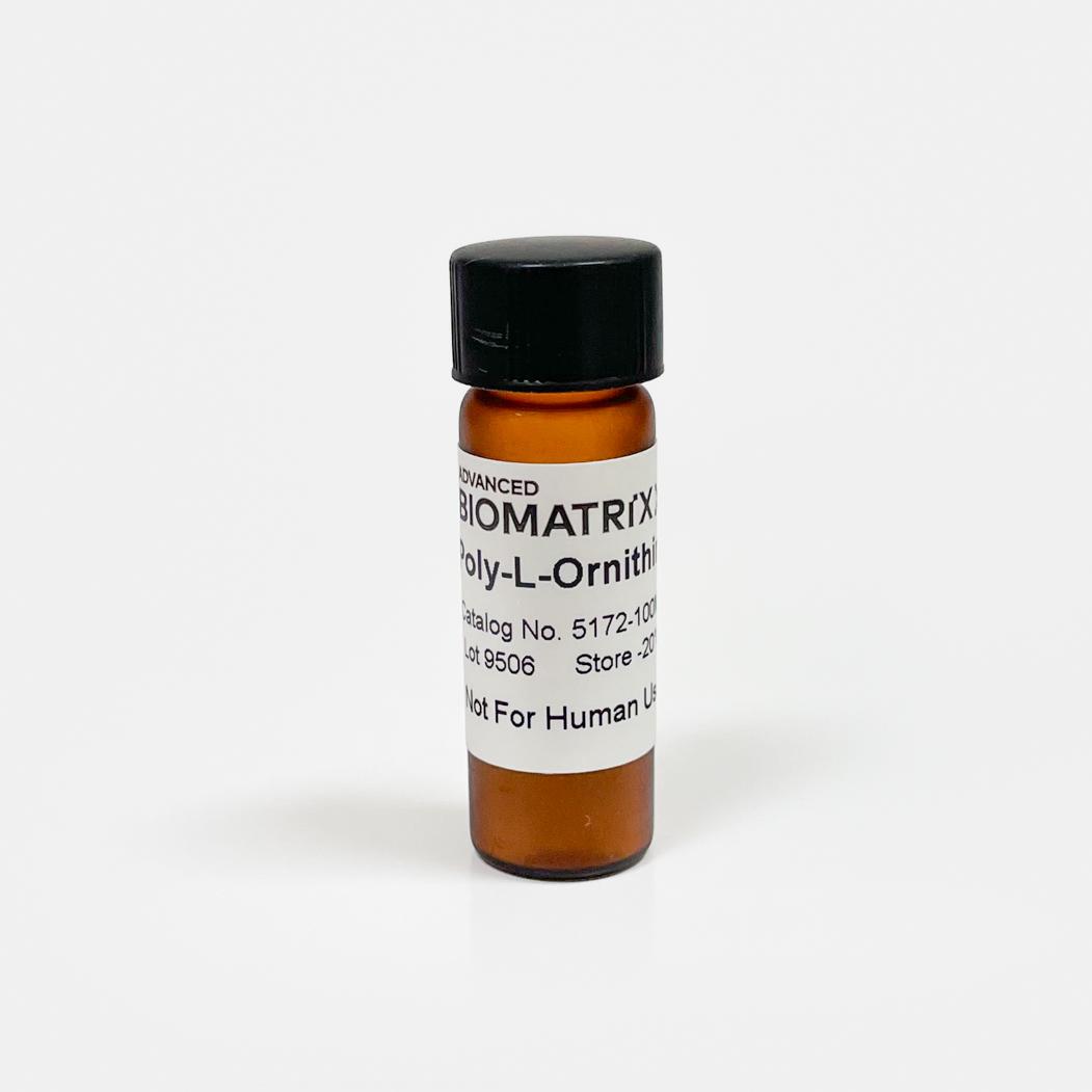 Poly-L-Ornithine PLO