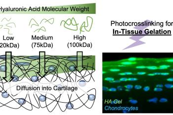 link to library blog - PhotoHA for Cartilage Restoration