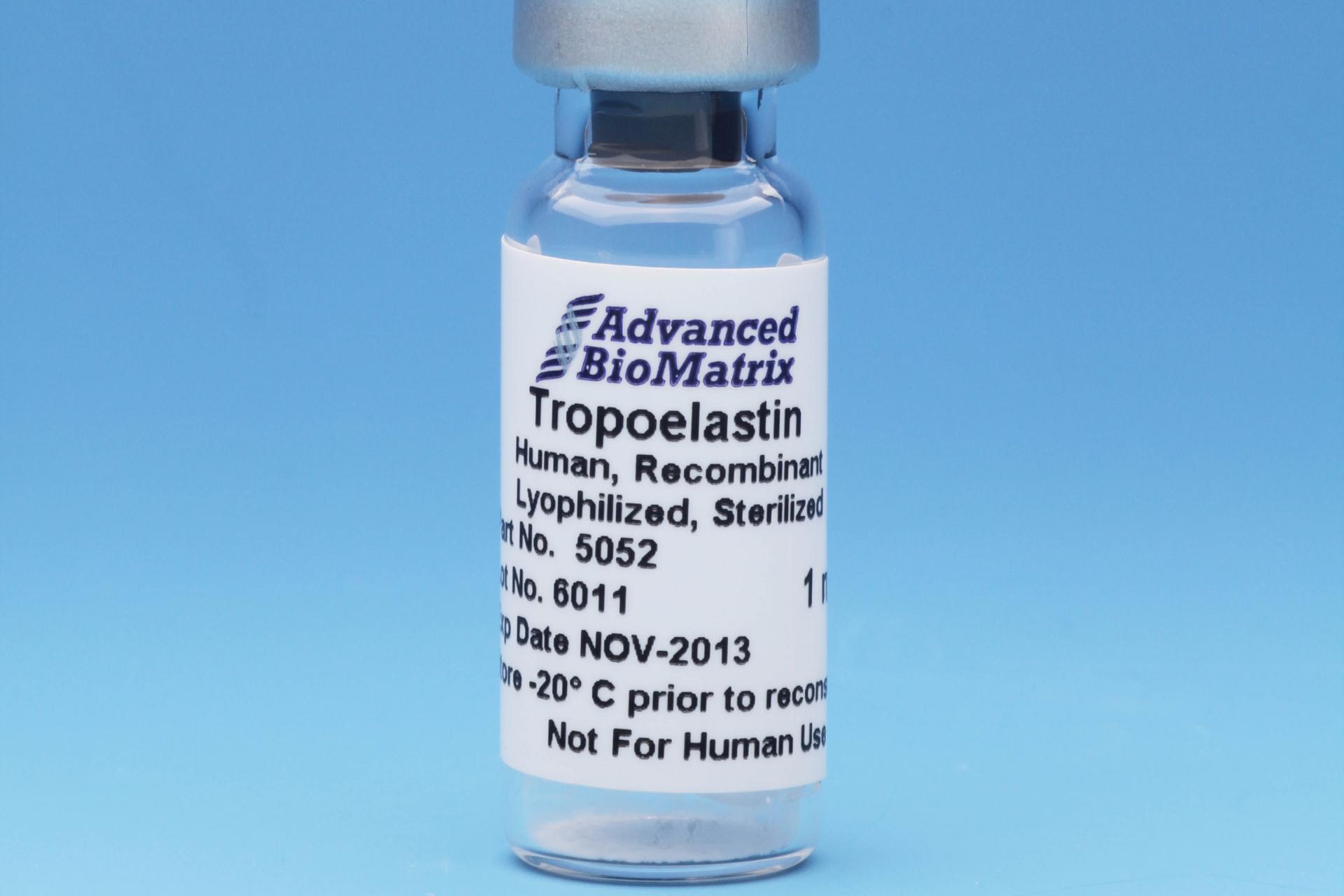 Recombinant Tropoelastin, Lyophilized #5052