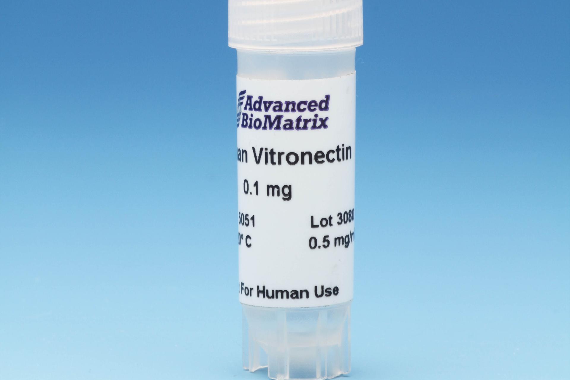 Vitronectin, Solution, 0.5 mg/ml (human) #5051