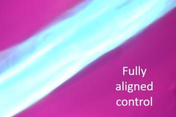 link to library blog - 3D Bioprinting Bioglass and Collagen